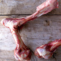 Lamb Bone